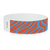 Neon Zebra