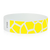 Neon Yellow Giraffe