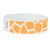 Neon Orange Giraffe