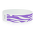 Purple Zebra Stripes